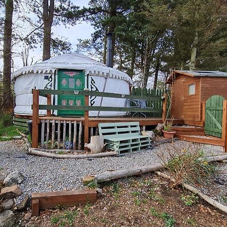 هيلمسديل The Tall Pines Yurt المظهر الخارجي الصورة