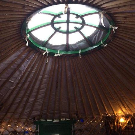 هيلمسديل The Tall Pines Yurt المظهر الخارجي الصورة