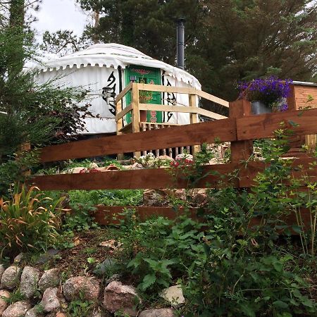 هيلمسديل The Tall Pines Yurt المظهر الخارجي الصورة