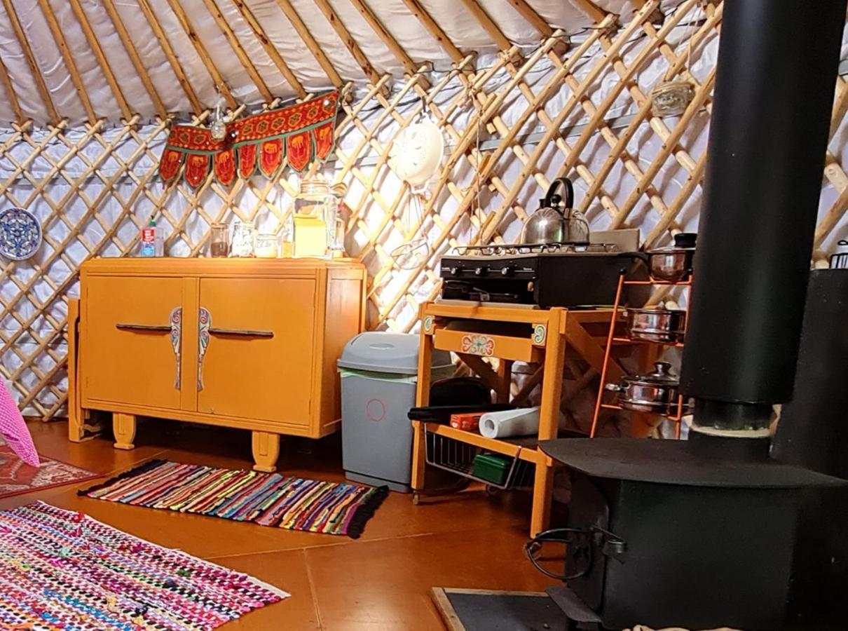 هيلمسديل The Tall Pines Yurt المظهر الخارجي الصورة