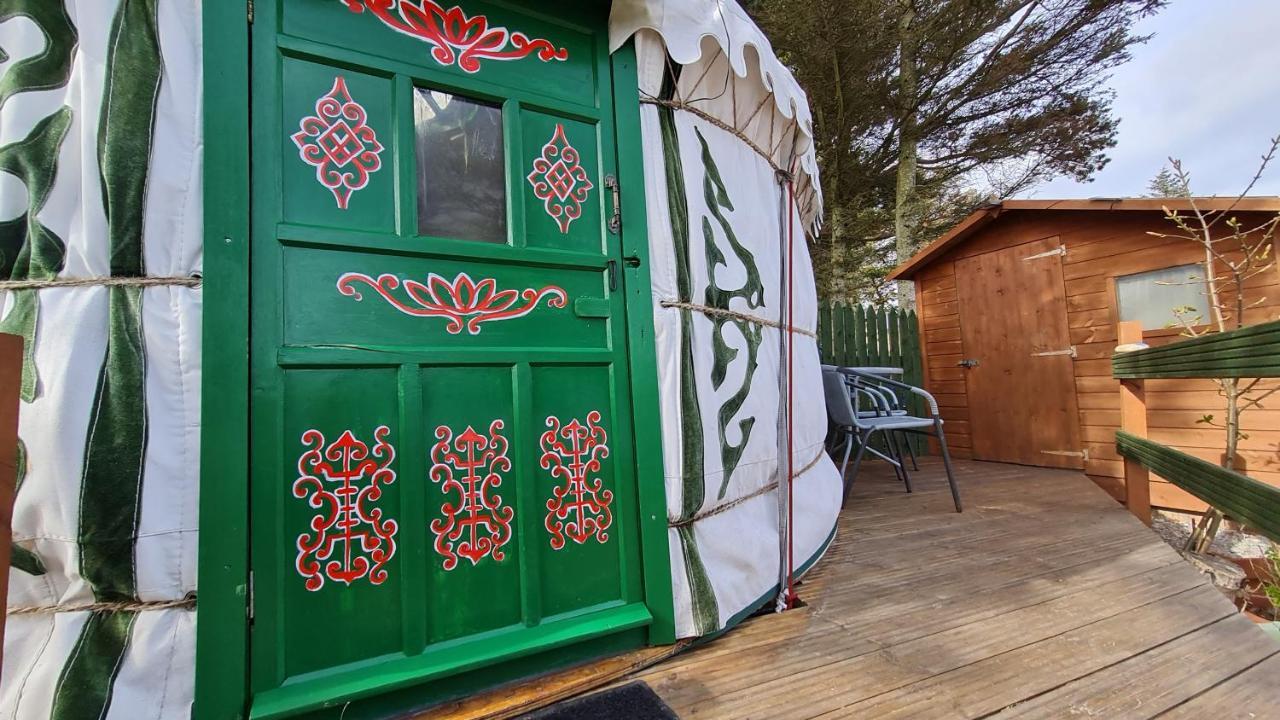 هيلمسديل The Tall Pines Yurt المظهر الخارجي الصورة