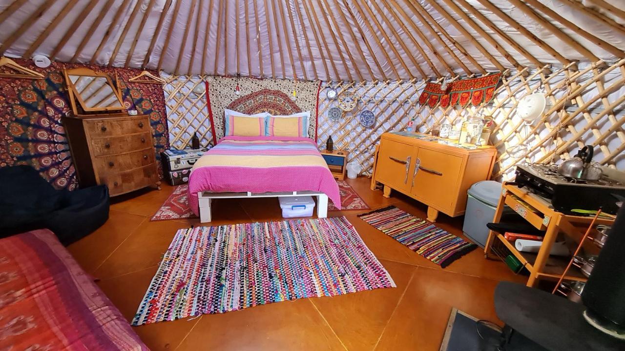 هيلمسديل The Tall Pines Yurt المظهر الخارجي الصورة