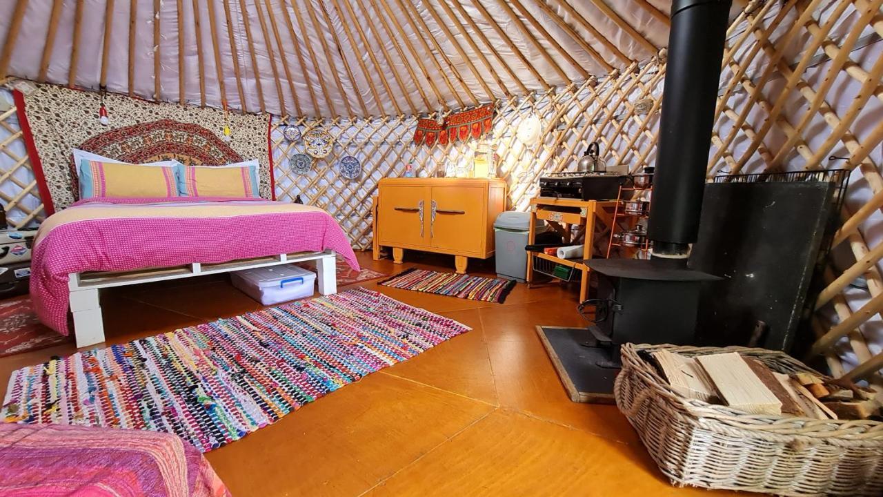 هيلمسديل The Tall Pines Yurt المظهر الخارجي الصورة