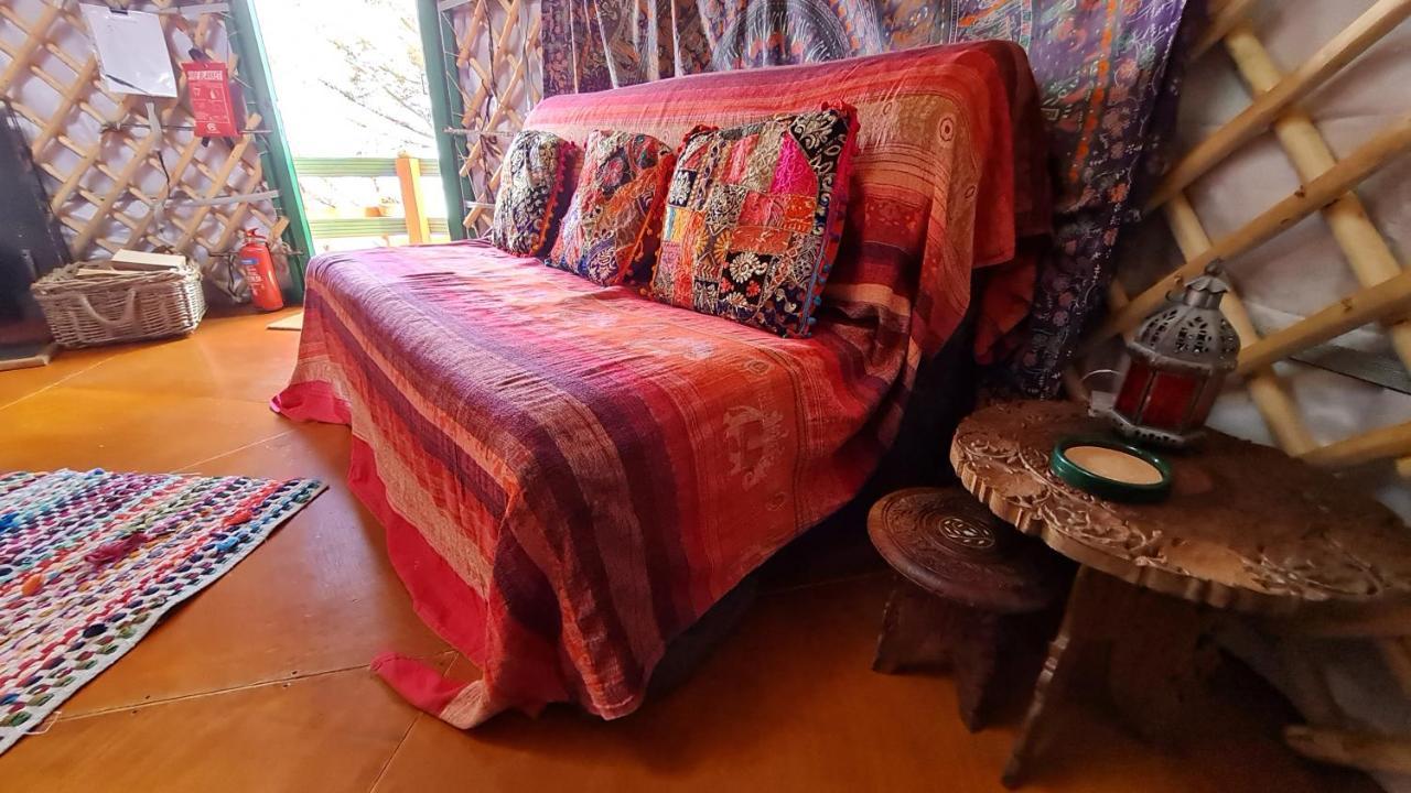 هيلمسديل The Tall Pines Yurt المظهر الخارجي الصورة
