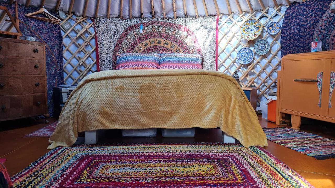 هيلمسديل The Tall Pines Yurt المظهر الخارجي الصورة