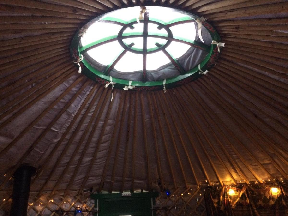 هيلمسديل The Tall Pines Yurt المظهر الخارجي الصورة