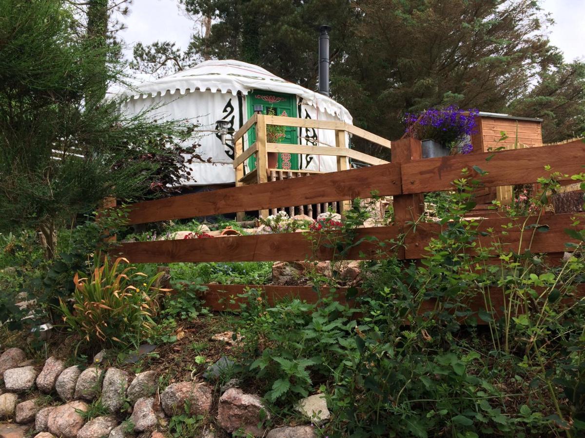 هيلمسديل The Tall Pines Yurt المظهر الخارجي الصورة